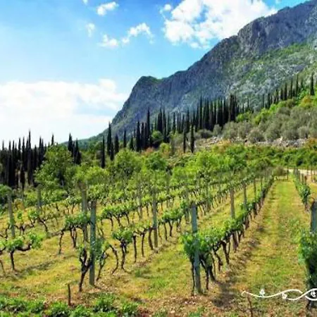 Modern With Balcony And Garden