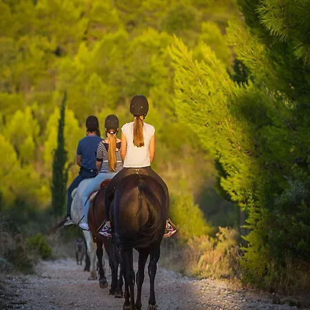 아파트 Modern With Balcony And Garden Pridvorje
