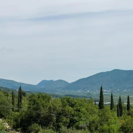 Modern With Balcony And Garden