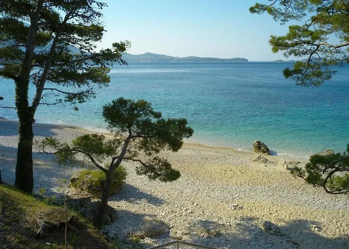 Modern With Balcony And Garden Appartement