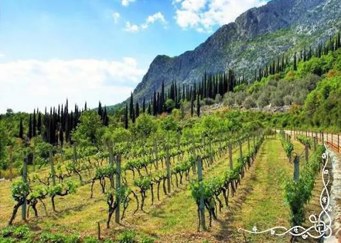Modern With Balcony And Garden
