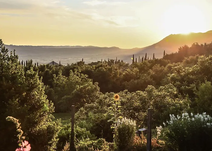 Modern With Balcony And Garden * Pridvorje
