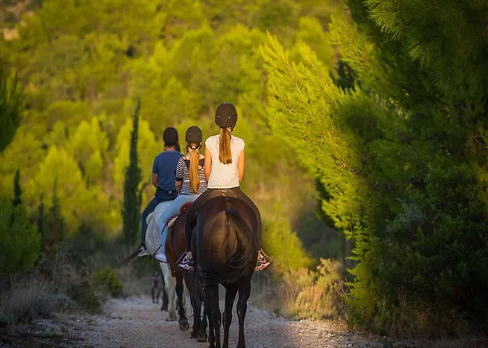 Appartement Modern With Balcony And Garden Pridvorje