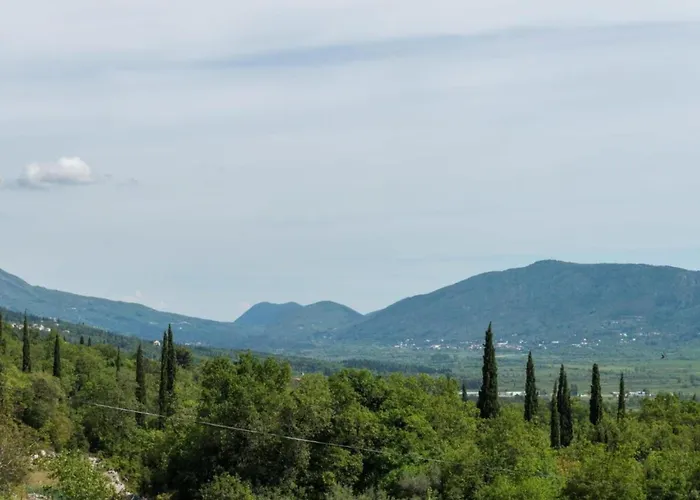Modern With Balcony And Garden
