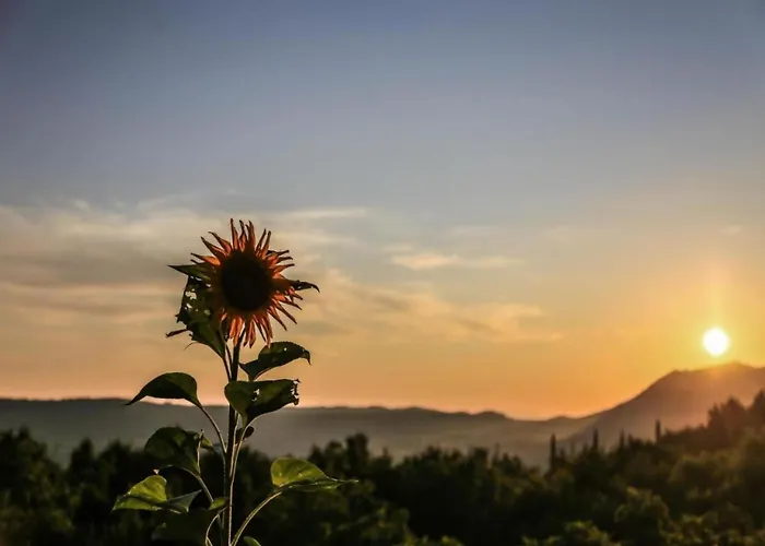 Appartement Modern With Balcony And Garden